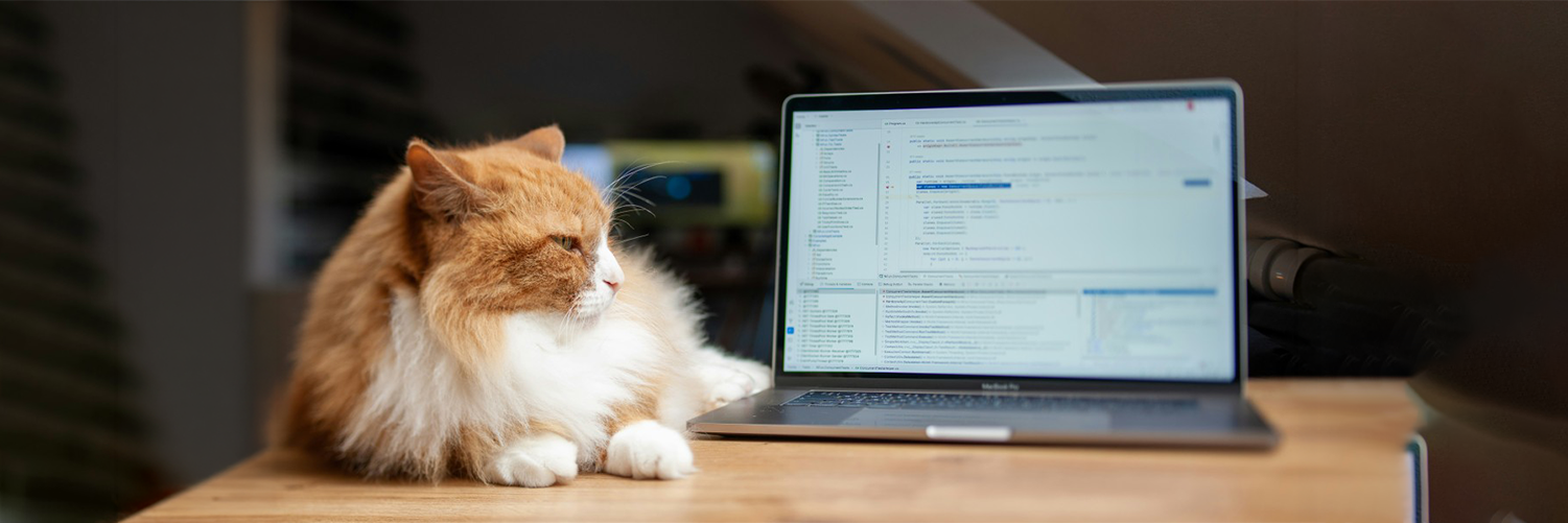 Cat sitting next to laptop which has coding on its screen