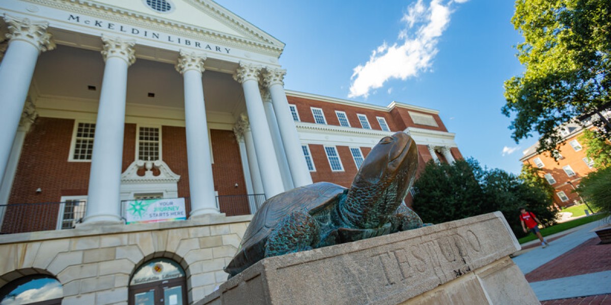 Image of a brass turtle in front of brick building with tall pillars