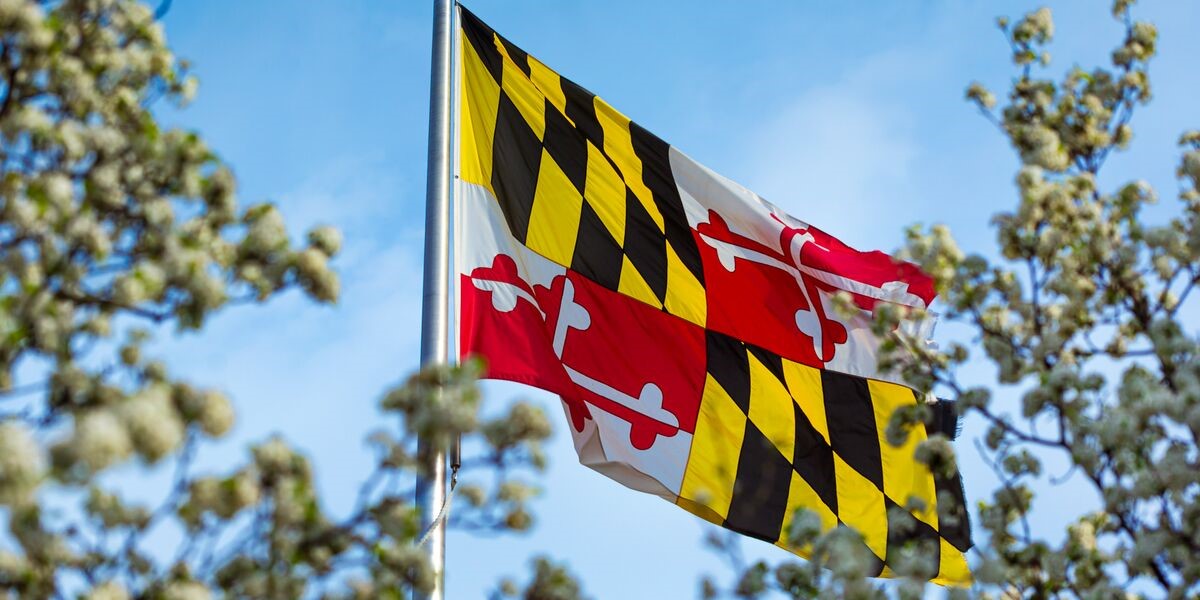 Photo of the Maryland Flag