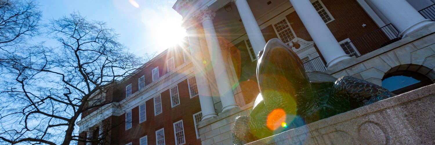 Photo of Testudo statue on the UMD Campus with sunshine