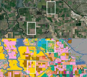 A satellite image of California farms (top) contrasts with an AI-generated crop map (bottom) that humans need to review and label to keep AI algorithms free from bias. Two boxes on the left show areas where labels appear in-line with the satellite image; boxes on the right show areas where there are mismatches. (Visual by Yiqun Xie. Images courtesy of ArcGIS World Imagery basemap, top, and the USDA Cropland Data Layer, bottom.)